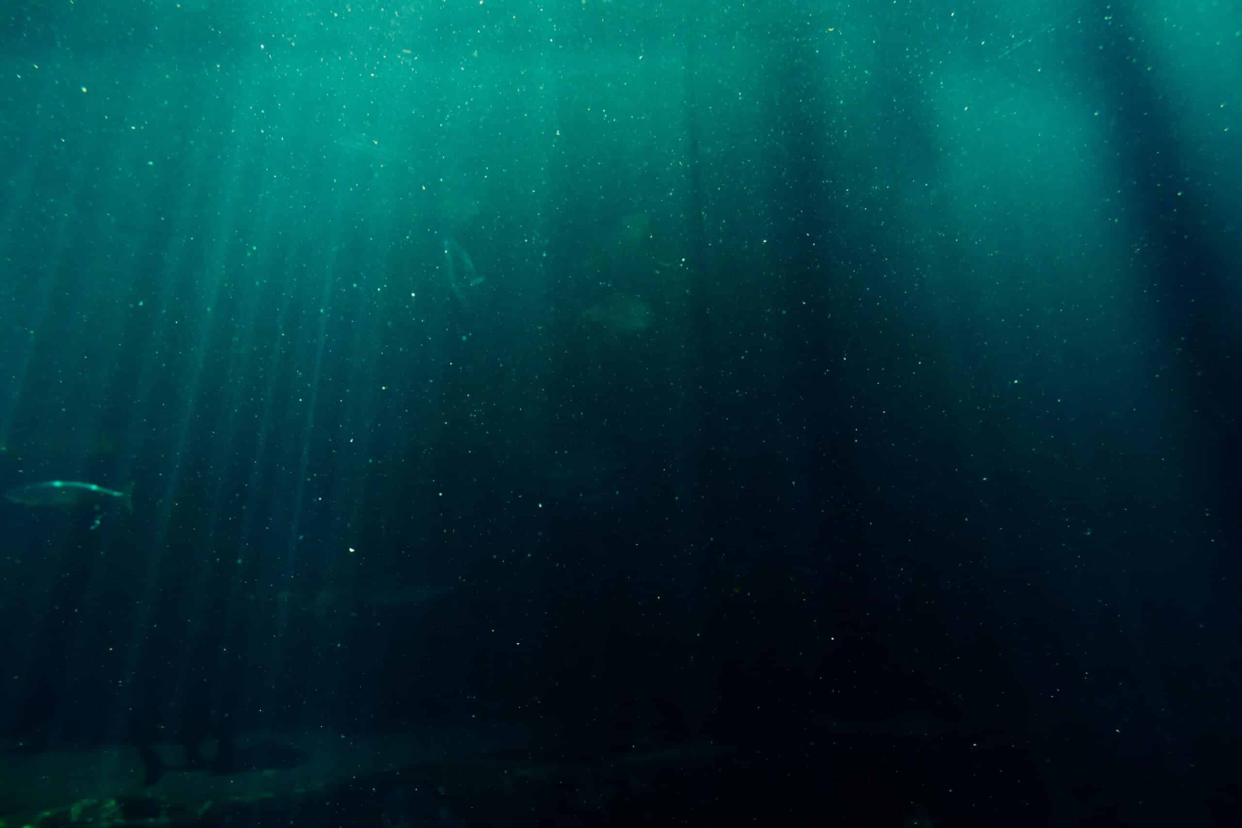 Underwater World: Sustainable Ecosystems Grade 2
