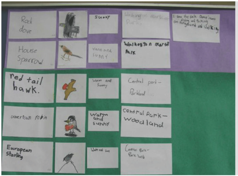Pbl Chart Grade 1 Unit 7: PBL Arctic - Success Academy Education Incubator